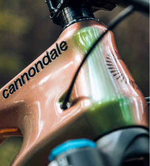 vélos cannondale
